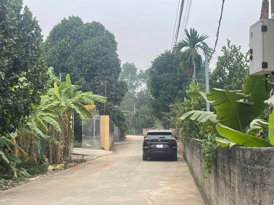 Đất Hương Trầm Dữu Lâu, Việt Trì 150m² giá 2.9 tỷ - Vị trí đẹp, giao thông thuận lợi!