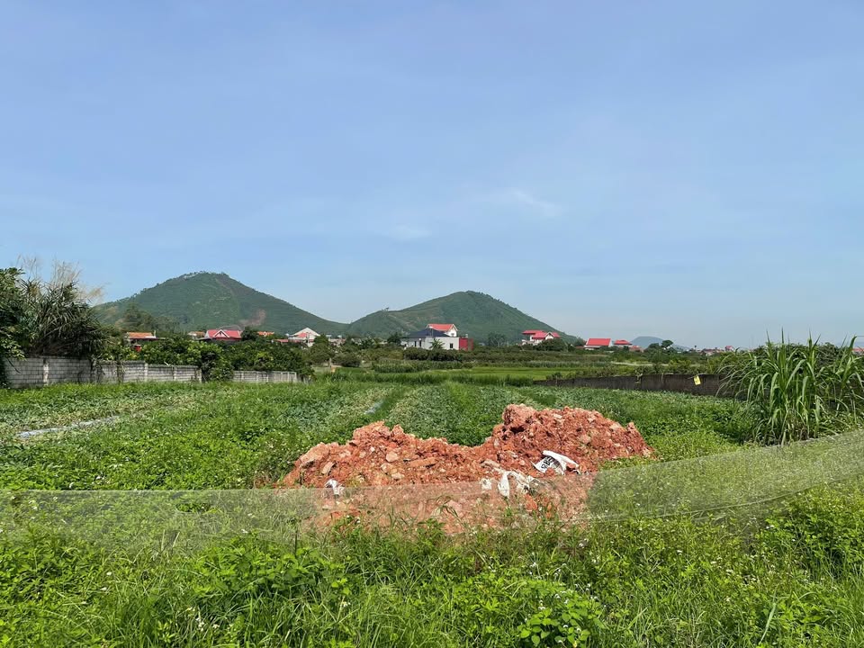 Đất thổ cư Phượng Sơn 300m² giá chỉ 4xx triệu - Đầu tư sinh lời nhanh!