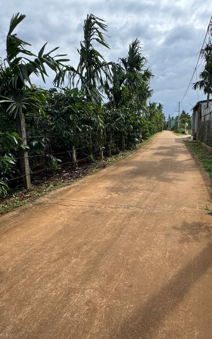 Đất Pơng Drang Krông Búk 350m² giá 1 tỷ - Đầu tư sinh lời với cây sầu riêng