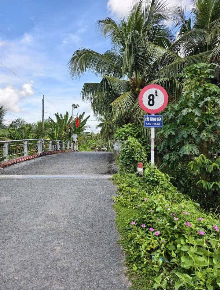 Đất thổ cư 1258m² mặt tiền lộ nhựa tại Tân Hùng, Tiểu Cần - Giá chỉ 720 triệu!