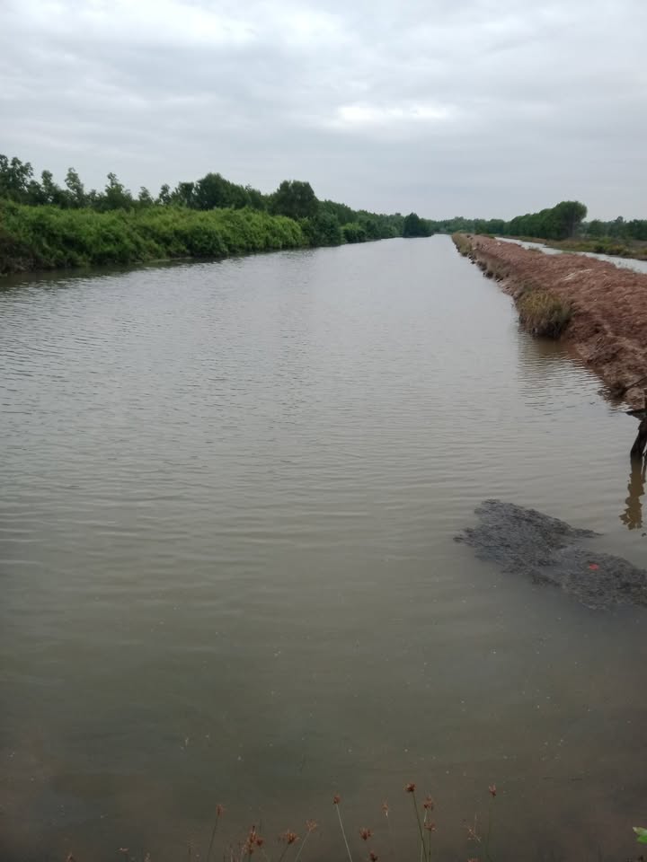 Đất nuôi tôm 36.000m² Trường Long Hòa Duyên Hải chỉ 8.8 tỷ - Cơ hội đầu tư hiếm có!