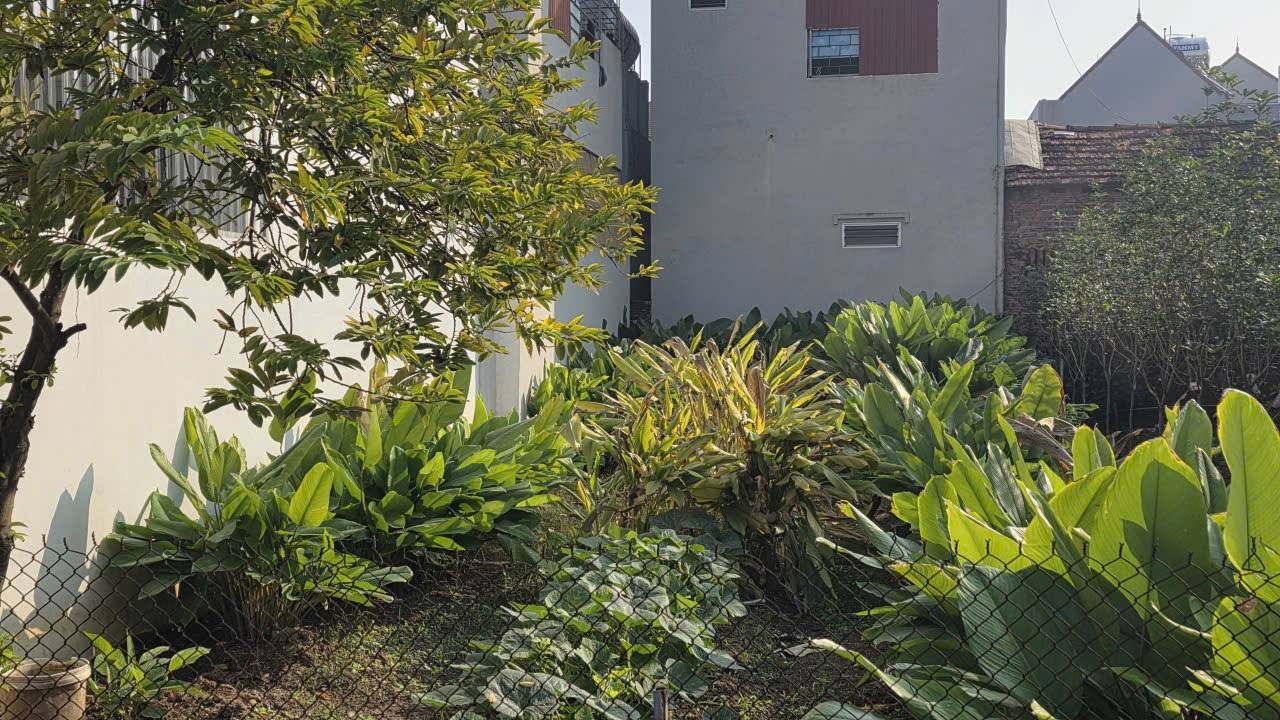 Đất nền 90m² tại Văn Khê, Mê Linh - Đầu tư sinh lời không thể bỏ lỡ!