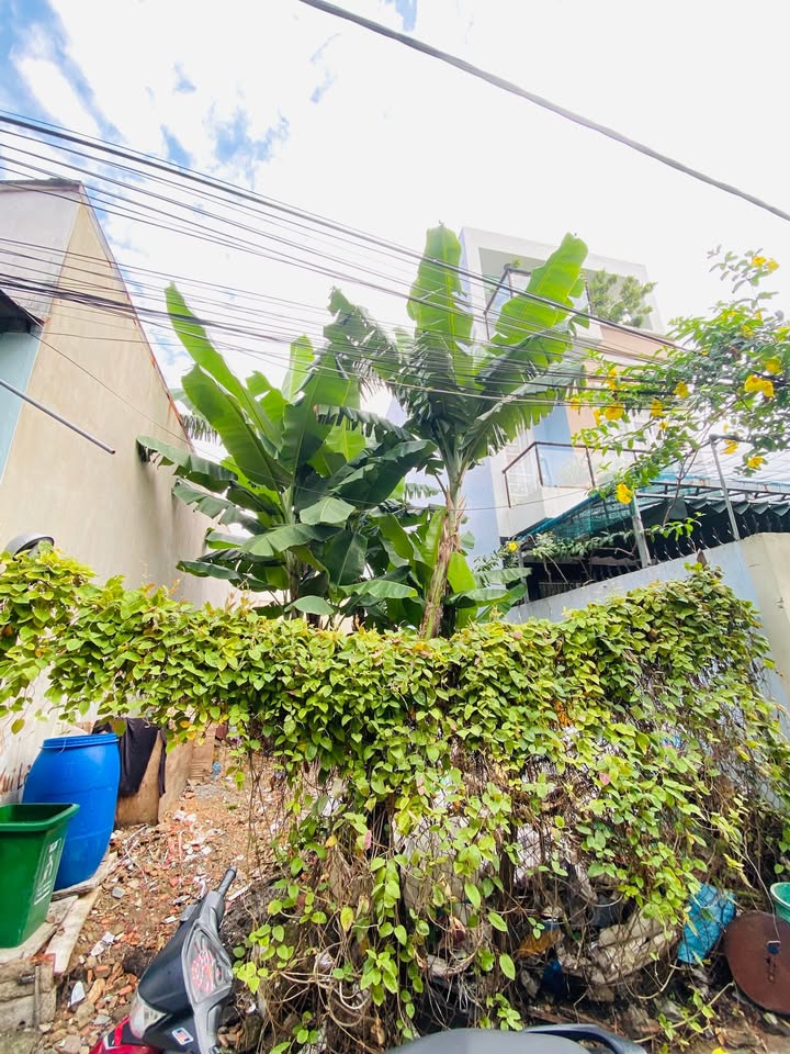 Đất nền Làng Tăng Phú Thủ Đức 100m² giá chỉ 5.3 tỷ - Hẻm xe hơi thông thoáng!