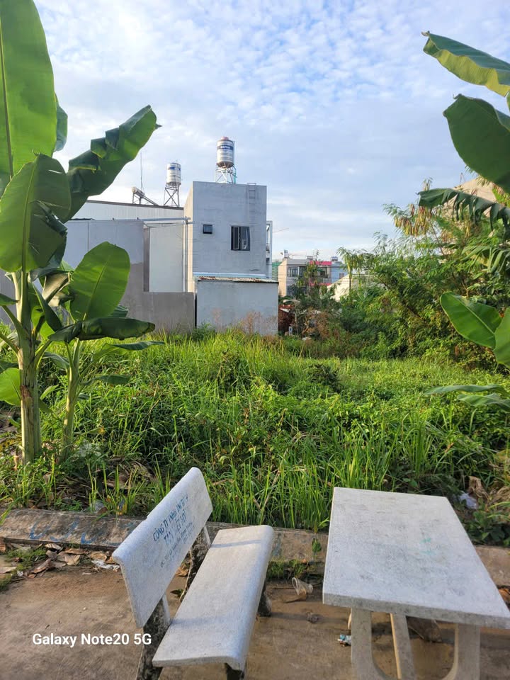 Lô đất Đông Tăng Long 80.2m² giá 3.95 tỷ - Cơ hội đầu tư tuyệt vời!