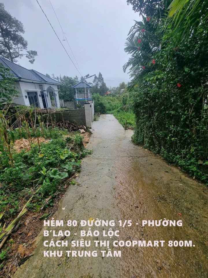 Đất nền Hẻm 80, Đường 1/5, Bảo Lộc, 114m² giá 800 triệu - Sổ hồng chính chủ!