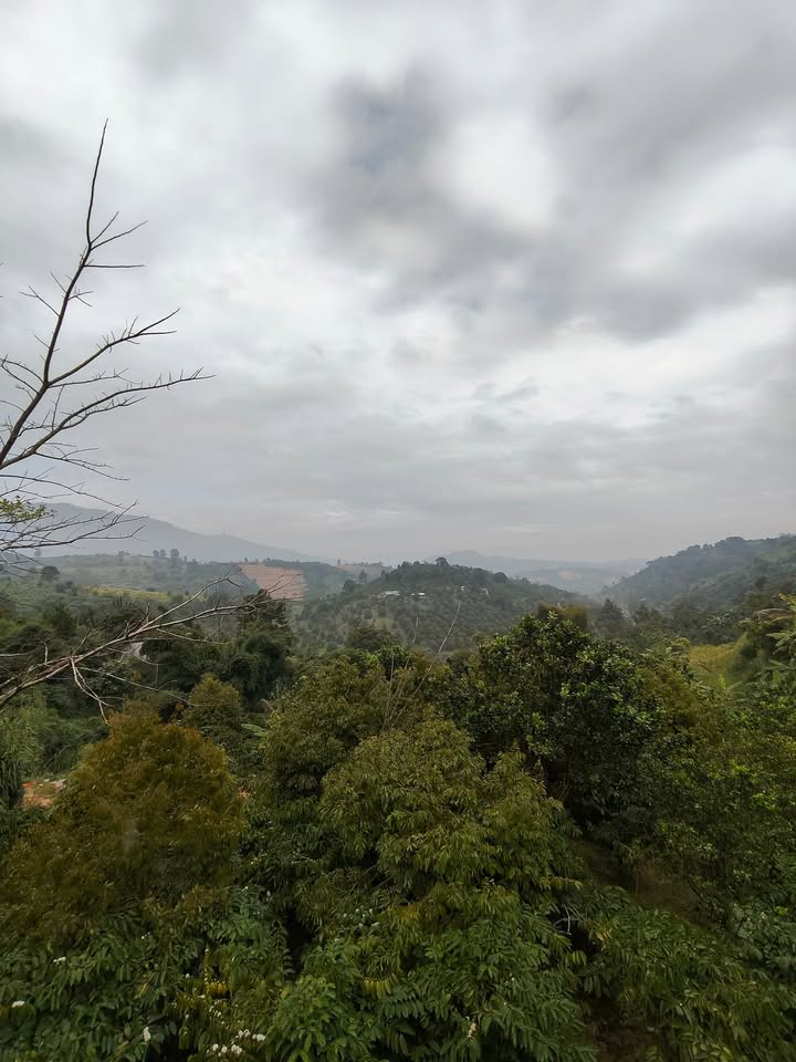 Đất thổ cư 138m² thôn 13 Lộc Thành, Bảo Lâm - Giá chỉ 570 triệu - Sổ hồng chính chủ!