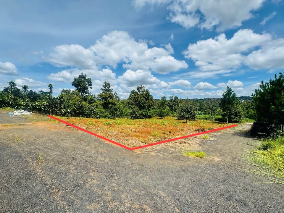 Đất nền Bảo Lộc 1560m² giá 2.6 tỷ - Đầu tư sinh lời tiềm năng!