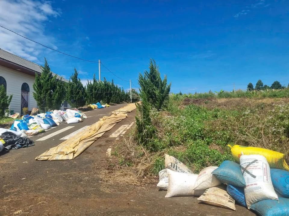 Đất nền lô góc 2 mặt tiền Lộc An Bảo Lâm 242m² chỉ 600 triệu - Đầu tư ngay hôm nay!