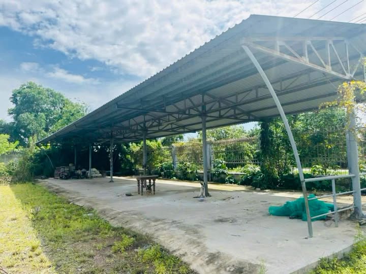 Cho thuê kho xưởng Quốc Lộ N2, Thủ Thừa, Long An 24.400m² - Pháp lý rõ ràng!