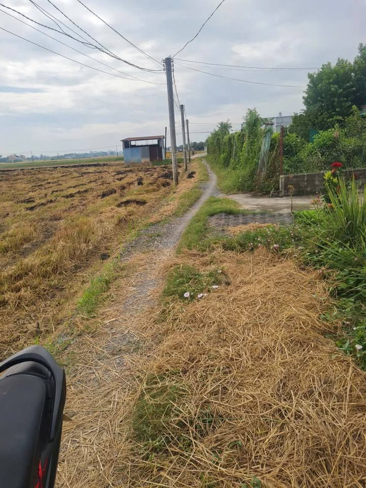 Đất thổ cư 214m² tại Bình Trinh Đông, Tân Trụ - Giá chỉ 800 triệu VND!