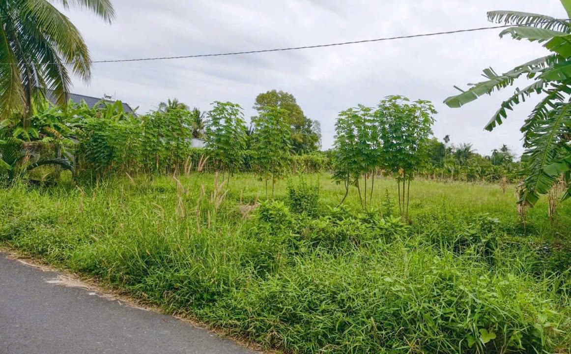 Đất nền mặt tiền đường Nguyễn Viết Xuân, 147m² giá 1.25 tỷ - Cơ hội đầu tư hấp dẫn!