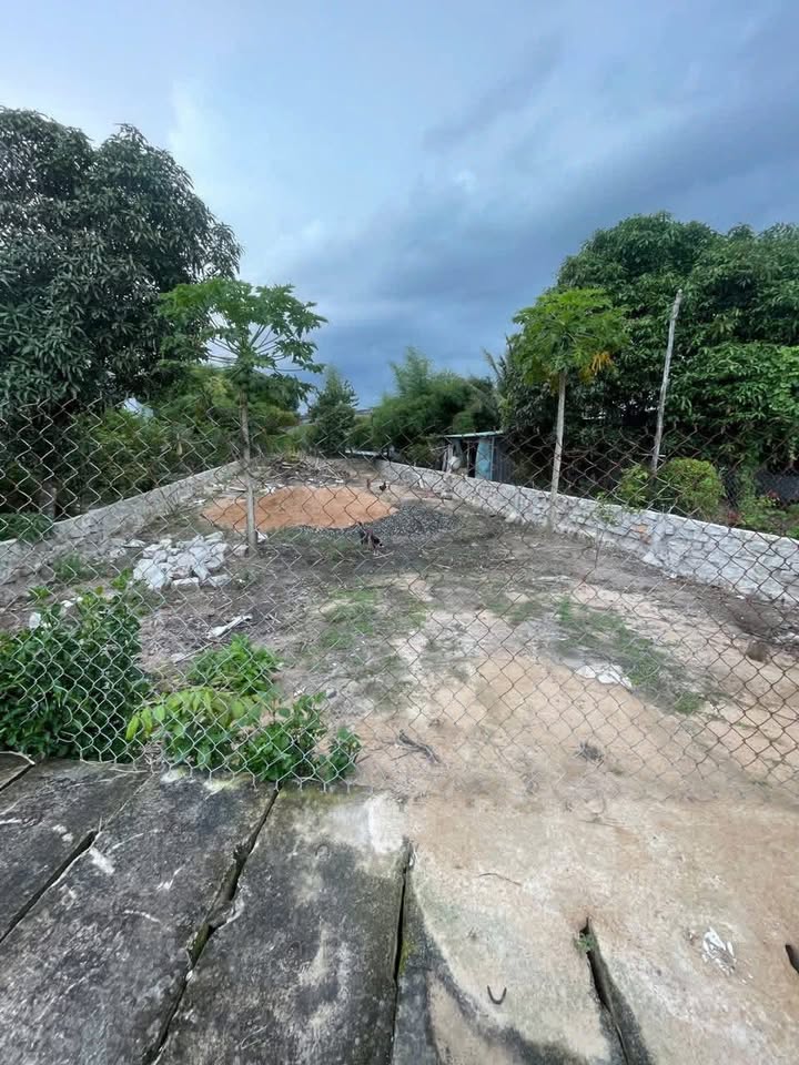 Đất thổ cư Tam Phước 290m² giá 2.4 tỷ - Cơ hội đầu tư tuyệt vời!