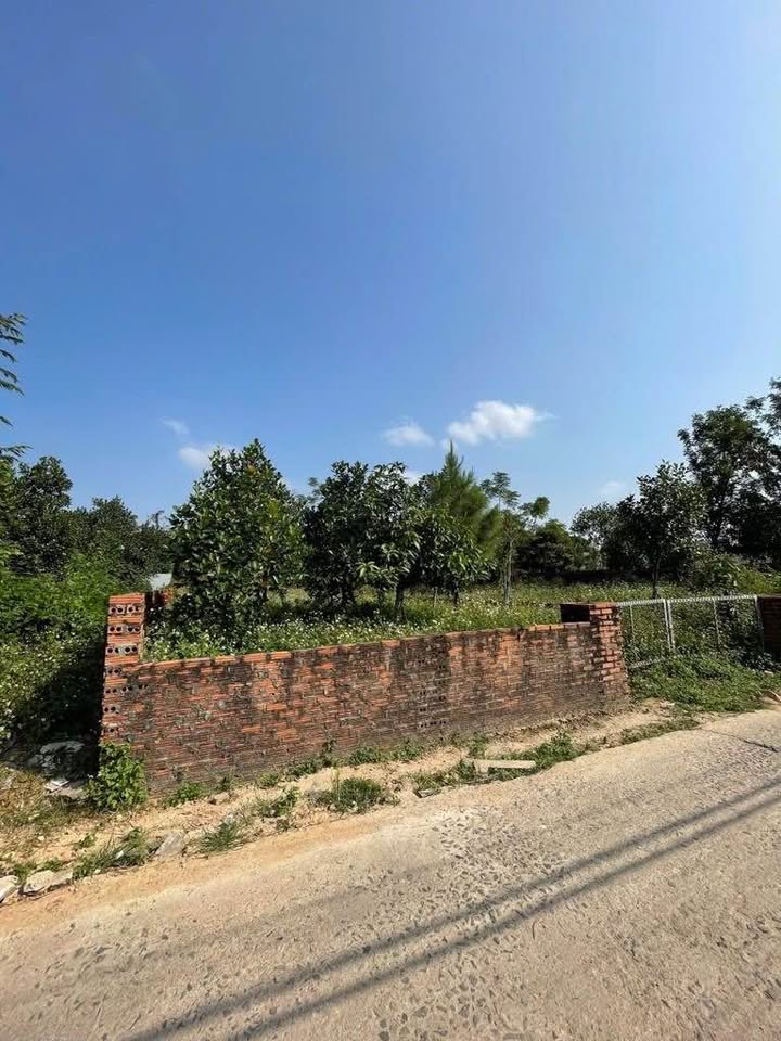 Đất nền Thôn Thái Lai, xã Minh Trí, Sóc Sơn 518m² chỉ 14 tỷ - Đầu tư sinh lời ngay!