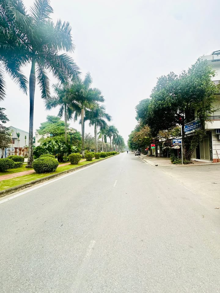 Đất nền Hòa Phong Việt Trì 162m² giá thỏa thuận - Cơ hội đầu tư tuyệt vời!