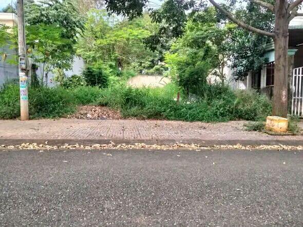 Mặt tiền Bùi Đình Tý, Hắc Dịch, Phú Mỹ 100m² chỉ 1.5 tỷ - Đầu tư sinh lời lý tưởng!