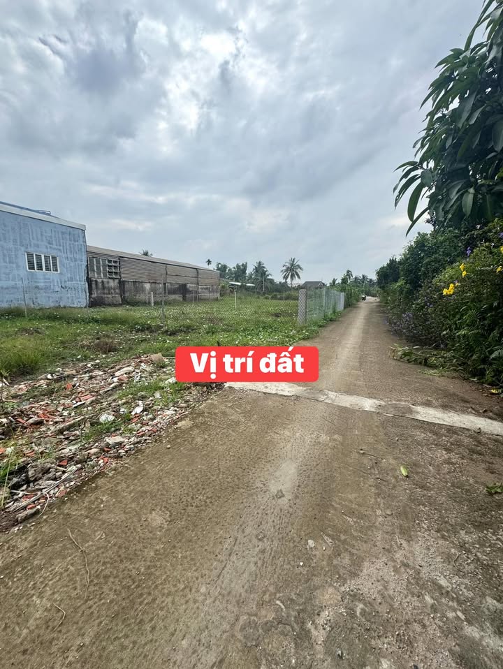 Đất nền chính chủ Phường Mỹ Phong 81m² giá 550 triệu - Sổ hồng riêng, thương lượng ngay!