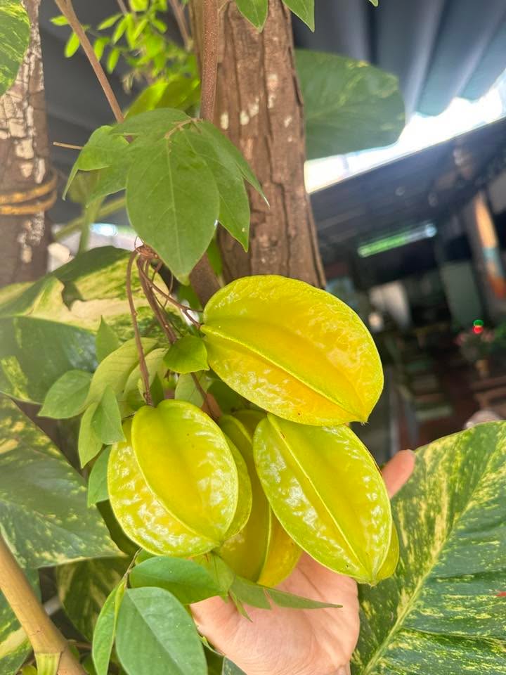 Đất nền thương mại đường Phạm Như Xương, quận Liên Chiểu, DT 390m² - Đầu tư sinh lời ngay!