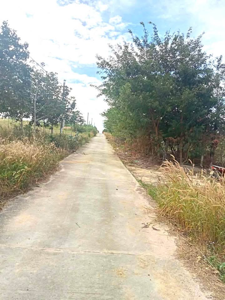 Đất thổ cư tại thôn 4, xã Hòa Bình, Kon Tum 2200m² - Cơ hội đầu tư tuyệt vời!