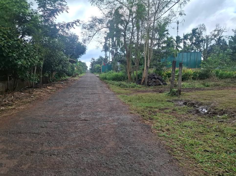 Đất đẹp Buôn Cưmblim, Ea Kao 780m² chỉ 780 triệu - Đầu tư sinh lời ngay!