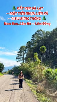 Đất ven Đà Lạt 969m² giá 3.3 tỷ - View rừng thông thoáng mát!