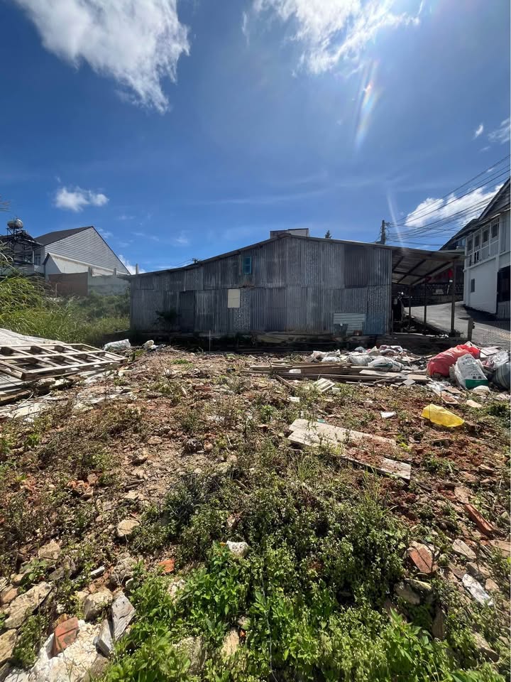 Đất nền Võ Trường Toản Đà Lạt 100m² giá 3.3 tỷ - Mặt tiền đẹp, thuận lợi kinh doanh!