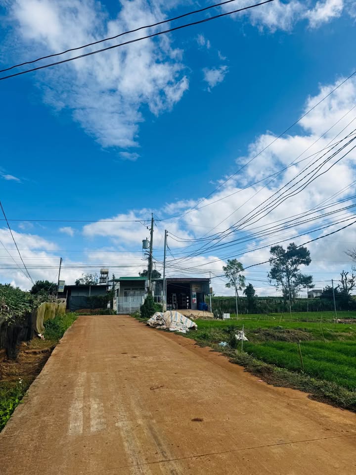 Đất nền Hiệp Thạnh, Đức Trọng 114m² giá 885 triệu - Tiềm năng sinh lời cao!