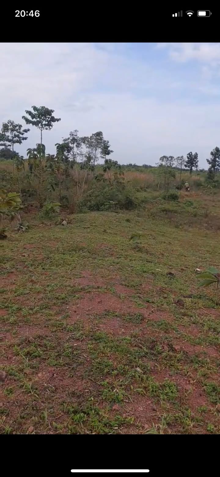 Đất nền 4,3 Ha ở xã Ea Wer, huyện Buôn Đôn - Giá chỉ 8,28 tỷ - Tiềm năng đầu tư lớn!