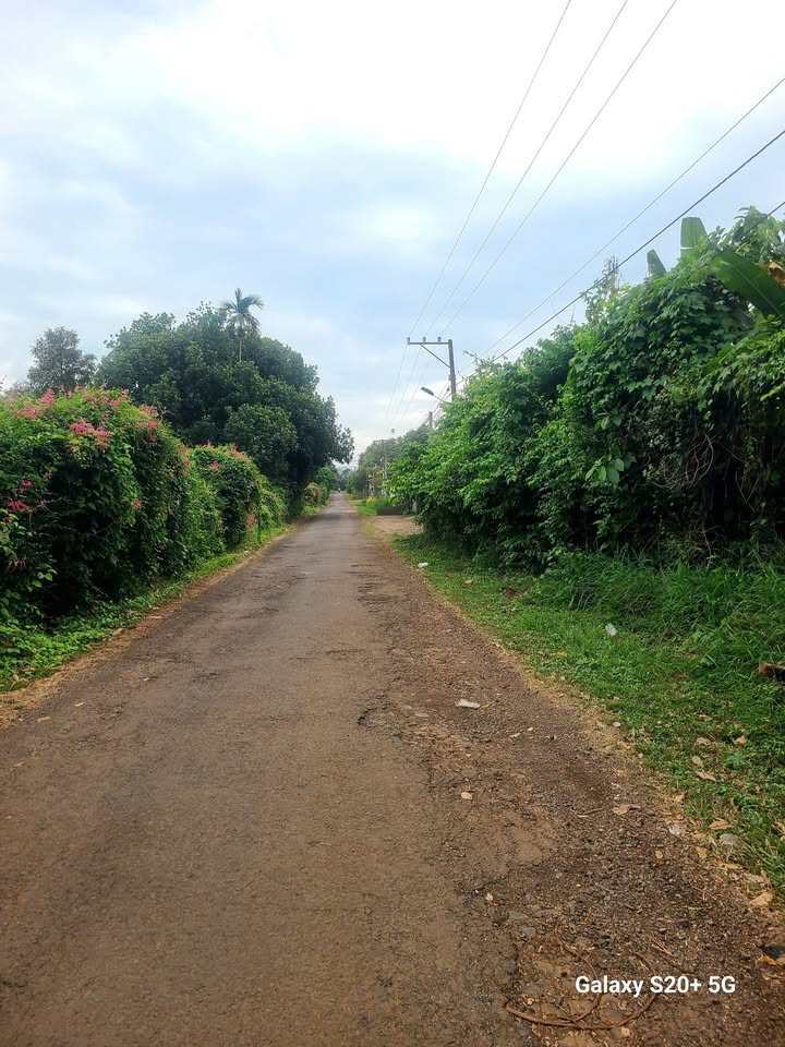 Đất nền đường Lê Hồng Phong, Hàng Gòn, 110m² giá 790 triệu - Sổ đỏ chính chủ!