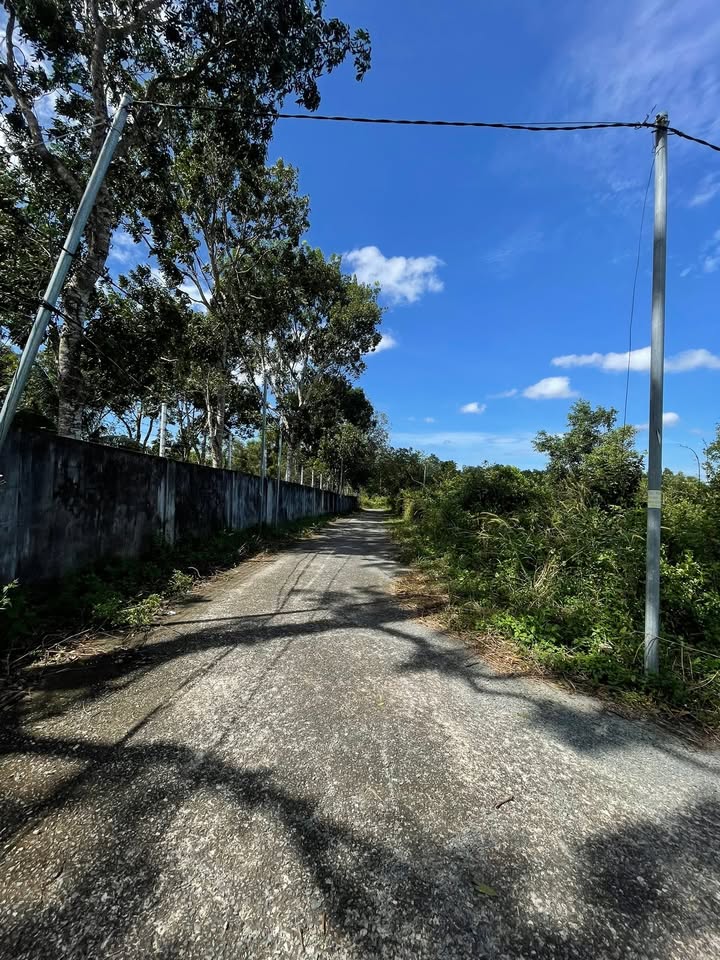 Đất nền bán gấp khu vực Chùa Ông Suối Đá 108m² giá 270 triệu - Cơ hội đầu tư hấp dẫn!