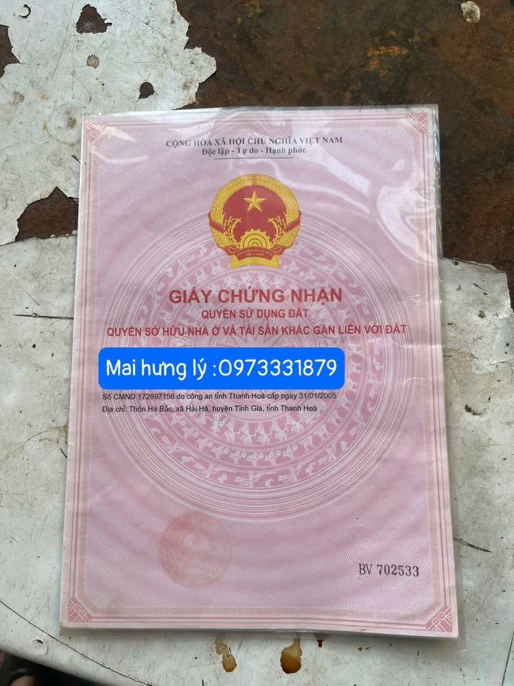 Nhà riêng phường Hải Bình, Nghi Sơn, 258m² giá 800 triệu - Chính chủ bán gấp!