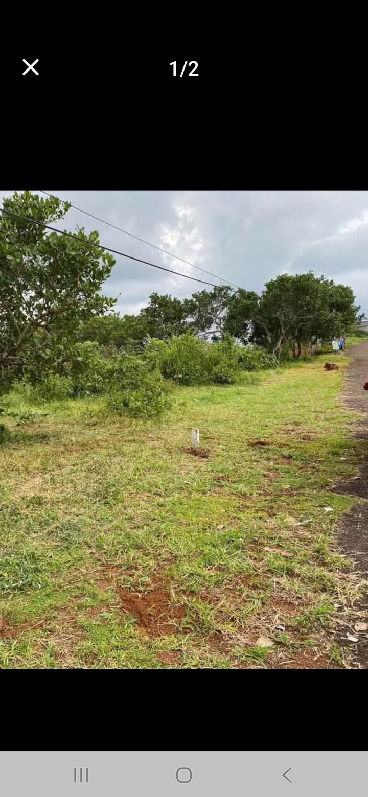 Đất nền Đắk Song 250m² giá 650 triệu - Đầu tư sinh lời ngay!