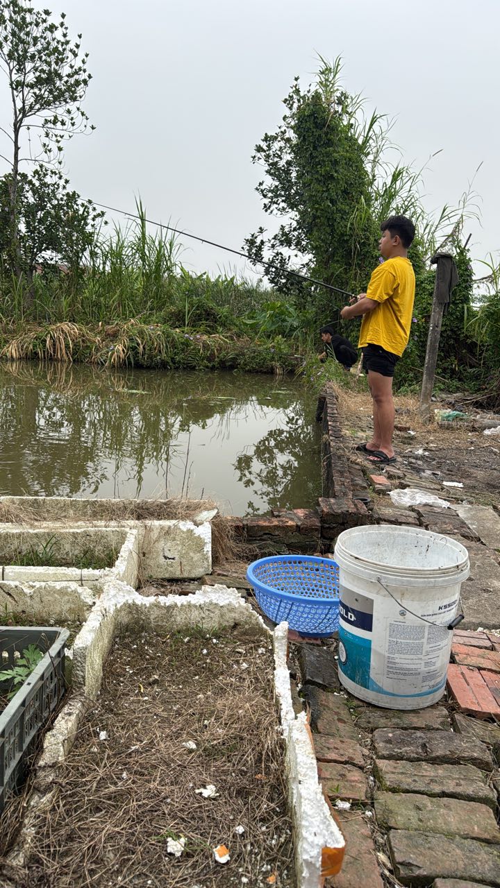 Đất nền Toàn Thắng, Tiên Lãng 90m² giá 600 triệu - Ngõ ô tô vào tận đất!
