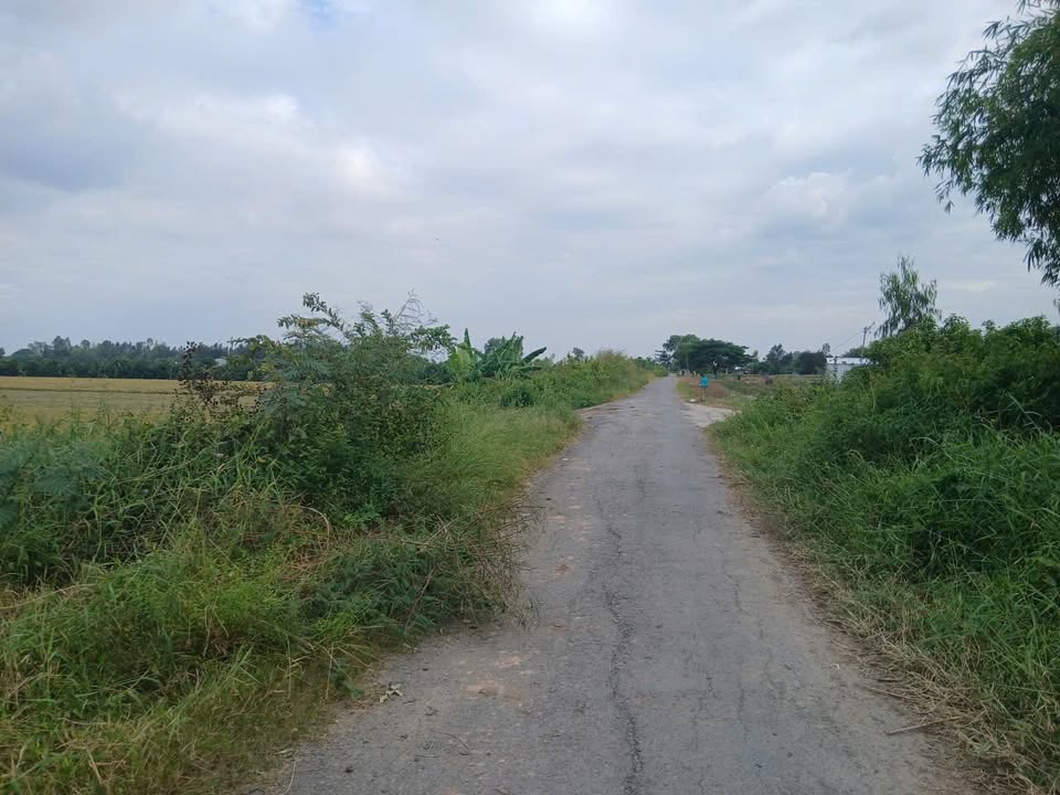 Đất nông nghiệp An Phước Tân Hồng 9300m² giá 1.197 tỷ - Đường nhựa tiện lợi!