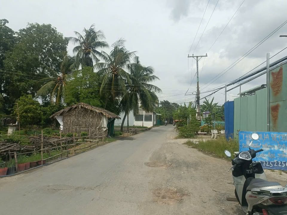 Đất thổ cư 100% Cần Đước 1769m² giá 10.614 tỷ - Cơ hội đầu tư tuyệt vời!