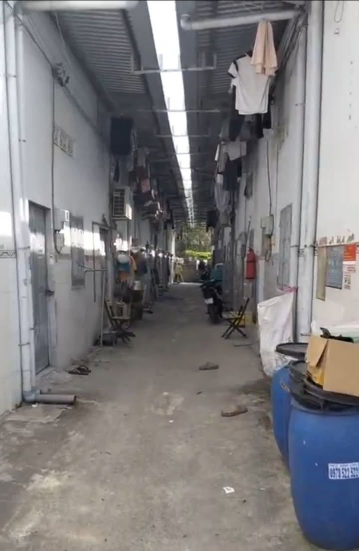 Đất nền 1000m² tại xã Tân Thạnh Đông, Củ Chi - Đầu tư sinh lời ngay!