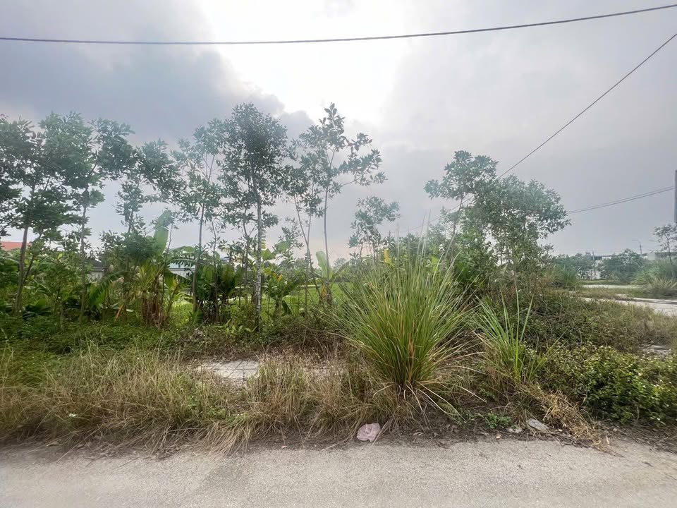 Đất nền Đông Tiến, Đông Sơn, Thanh Hóa 122,5m² giá 900 triệu - Cơ hội đầu tư hấp dẫn!