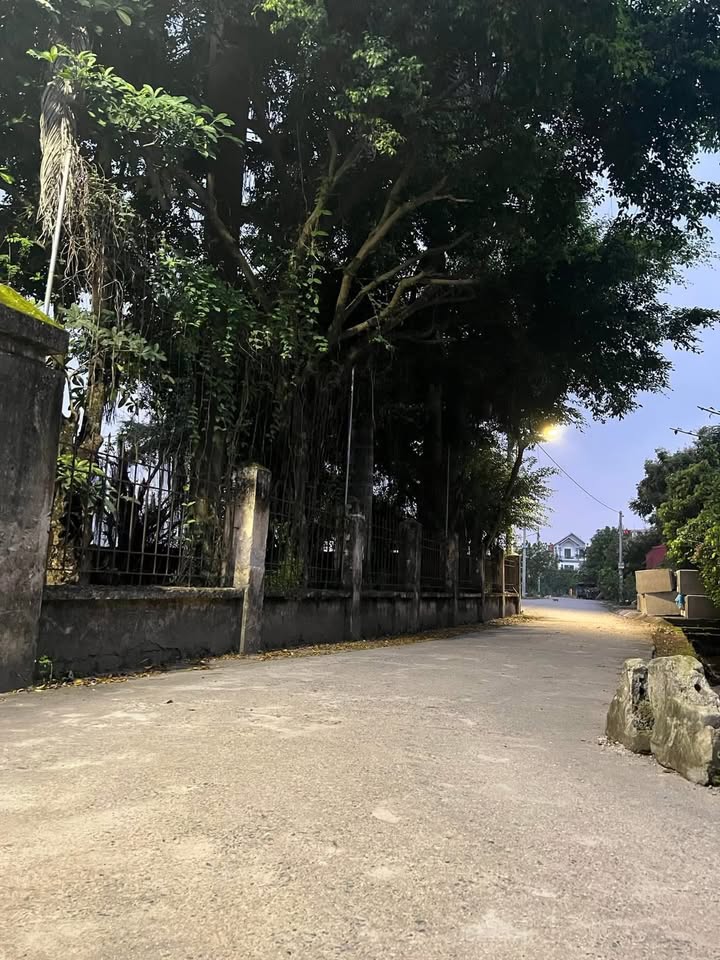 Đất nền Lê Hồng Phong, Phủ Lý 51m² giá 1.4 tỷ - Sổ đỏ chính chủ!