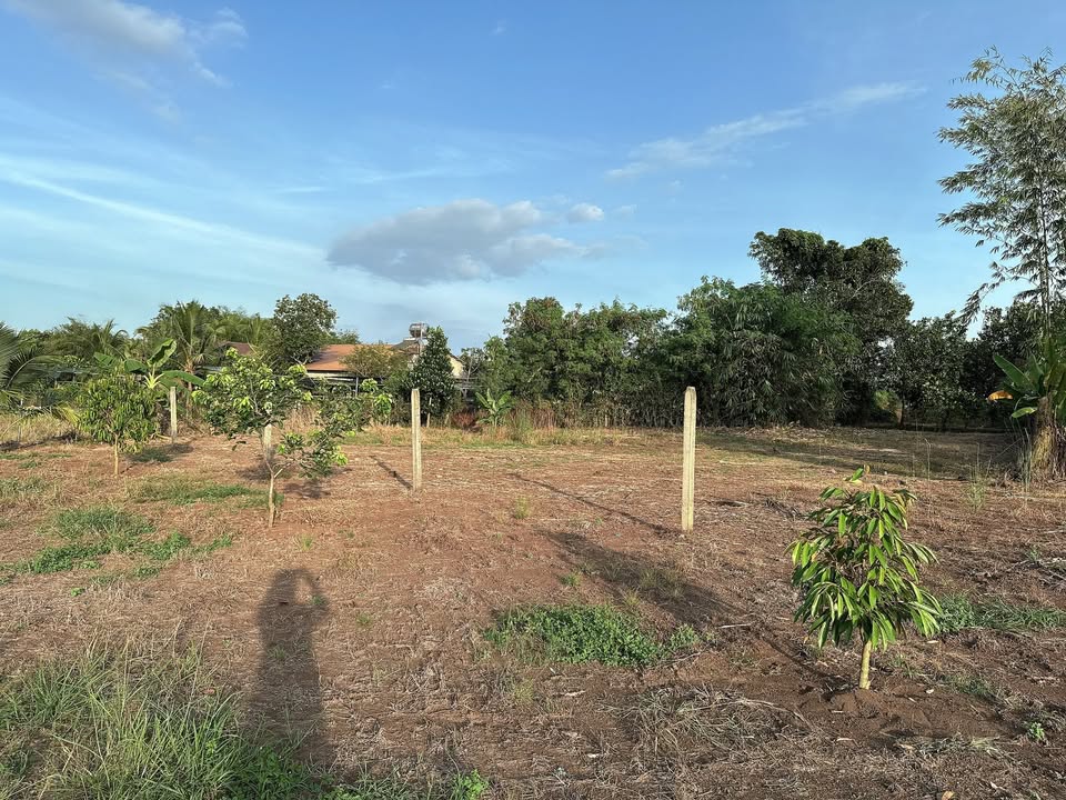 Đất thổ cư Bảo Hòa, Xuân Lộc 1030m² giá 950 triệu - Đầu tư sinh lời cao!