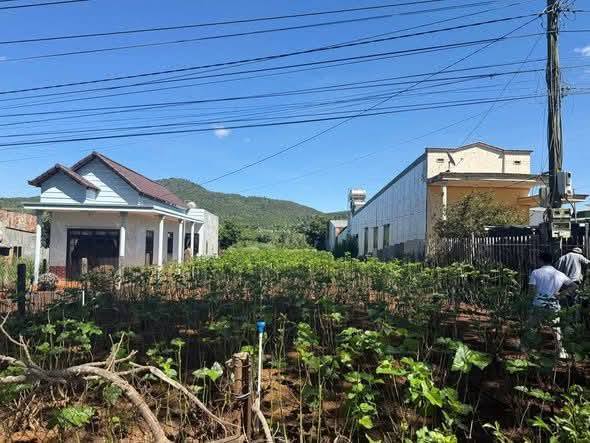 Đất thổ cư mặt tiền Quốc lộ 27, Hiệp Thạnh 228m² - Cơ hội đầu tư tuyệt vời!