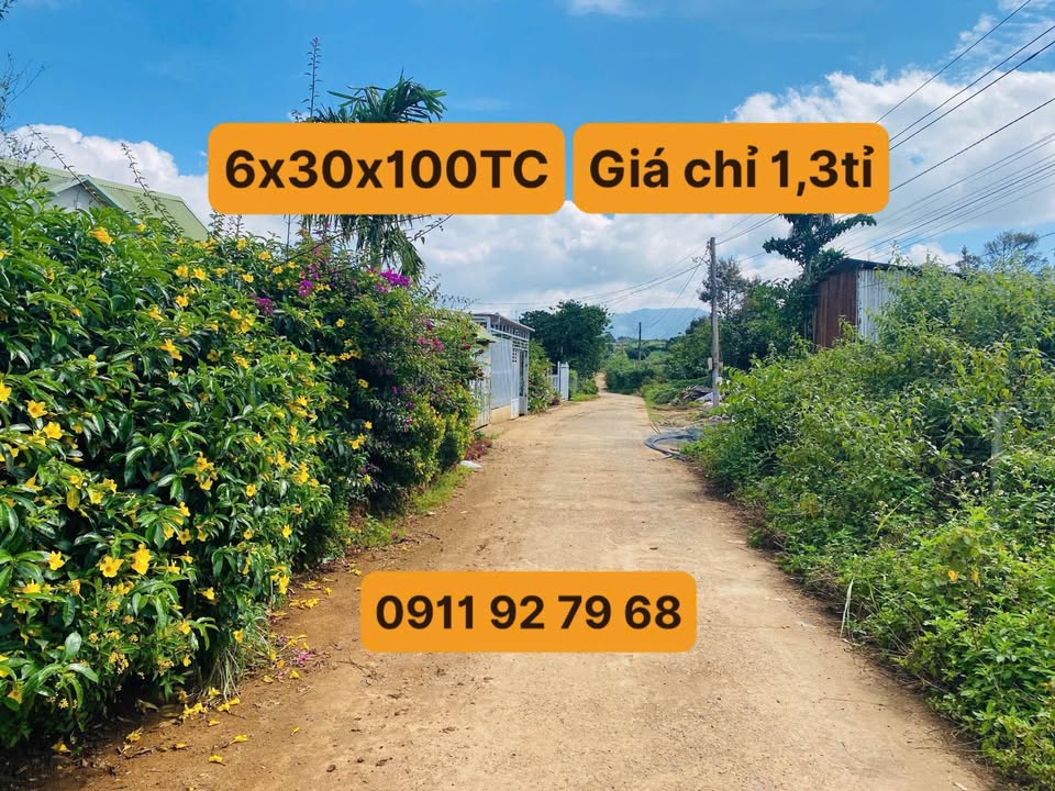 Đất nền Hiệp Thạnh, Đức Trọng 180m² giá 1.3 tỷ - Vị trí đắc địa, an ninh ổn định!