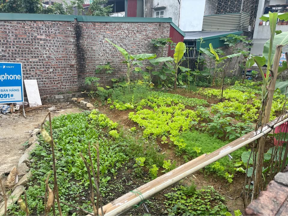 Đất thổ cư Hòa Bình 100m² giá 900 triệu - Sổ hồng chính chủ!