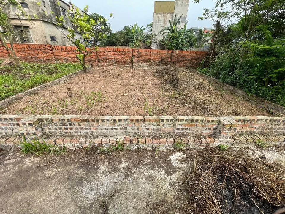 Đất nền Gia Lâm 62,5m² giá 2 tỷ - Ô tô đỗ cửa, đầu tư sinh lời!