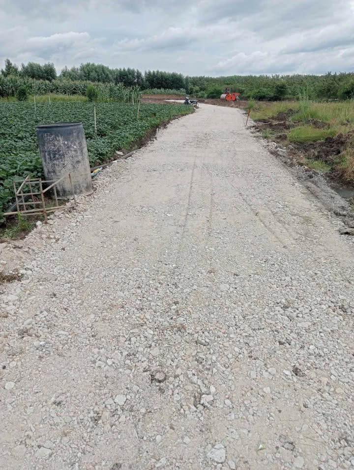 Đất nền Xuân Đông, Cẩm Mỹ 1261m² giá 1.44 tỷ - Đường xe hơi thuận tiện!