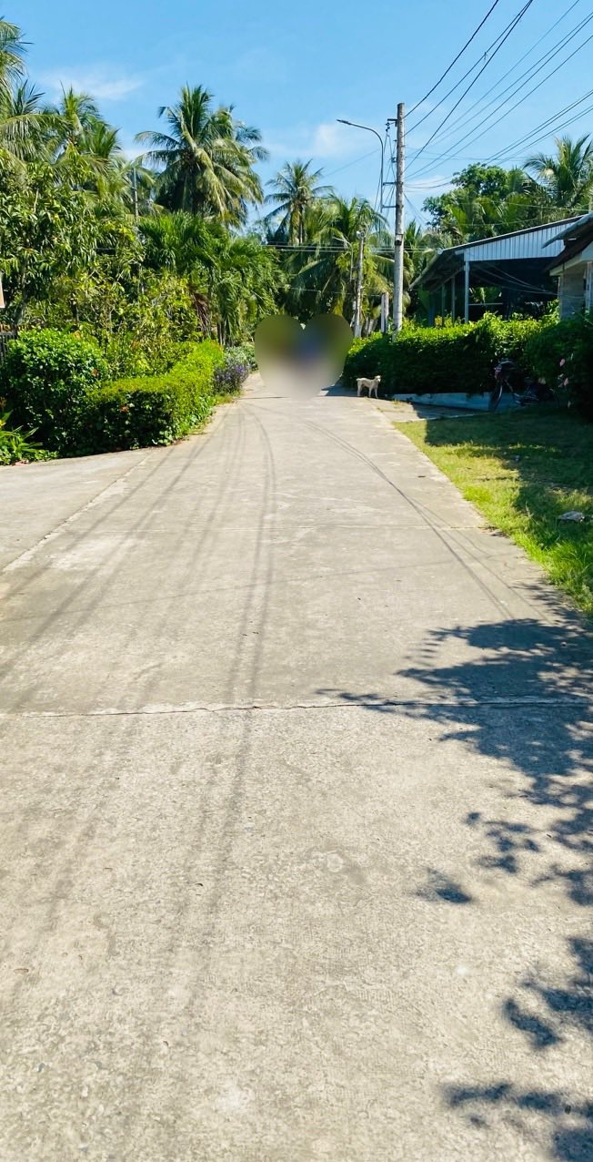 Đất nền mặt tiền Bờ Dừa, xã Phú Nhuận, Bến Tre 115m² giá 850 triệu - Sổ đỏ chính chủ!