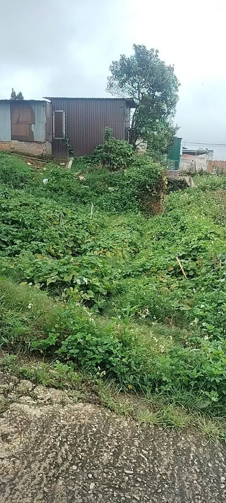 Đất nông nghiệp phường Lâm Viên Đà Lạt 64m² giá 1,7 tỷ - Sổ đỏ chính chủ