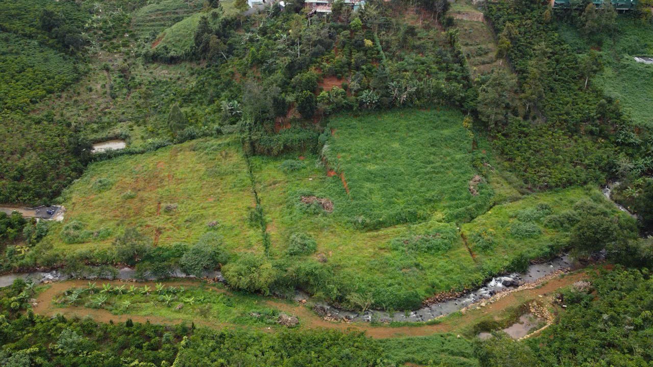 Đất nền 28800m² tại Nguyễn Văn Cừ, Bảo Lộc - Cơ hội đầu tư tuyệt vời!