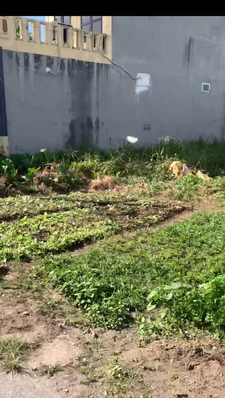 Đất nền 100m² tại phố Tùng Hiền, quận Dương Kinh - Giá chỉ 2.4 tỷ