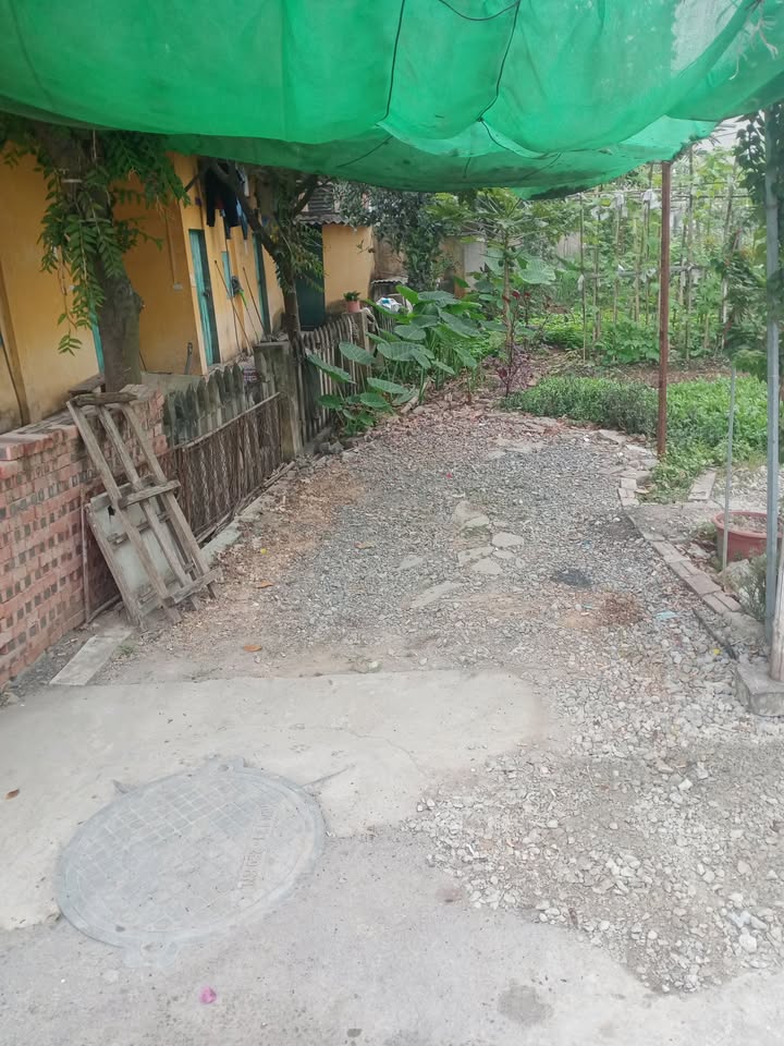 Đất Đào Xuyên, Đa Tốn 118m² giá 7.67 tỷ - Pháp lý rõ ràng, Giao dịch ngay!