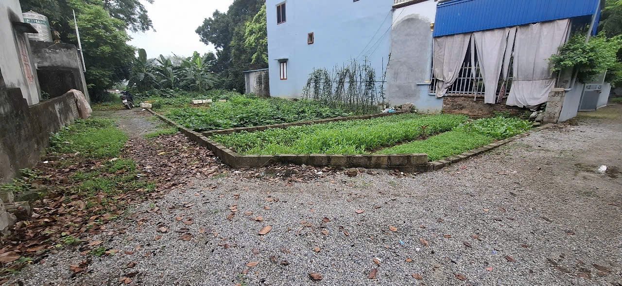 Đất 56m² Viên An, Ứng Hòa - Giá chỉ 900 triệu, ô tô vào tận nơi!