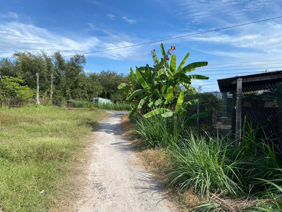 Đất nền chính chủ KP An Thới, Phường An Tịnh, Tây Ninh 126m² - Giá chỉ 670 triệu!